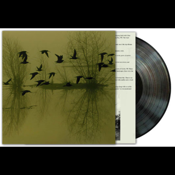 DUSK Majestic Thou in Ruin LP BLACK , PRE-ORDER [VINYL 12"]